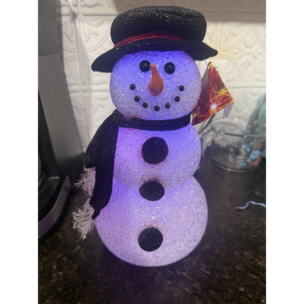 Kirklands Holiday Lites Color Changing LED Snowman Light Up Decoration Christmas
